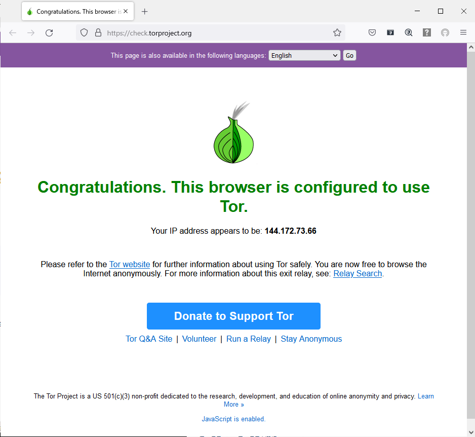 TorにFirefoxで接続した結果